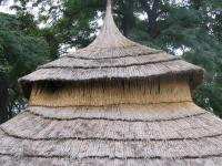 Albums/20060800-China Aug 2006/20060807-Shenyang - Neolithic Museum/3